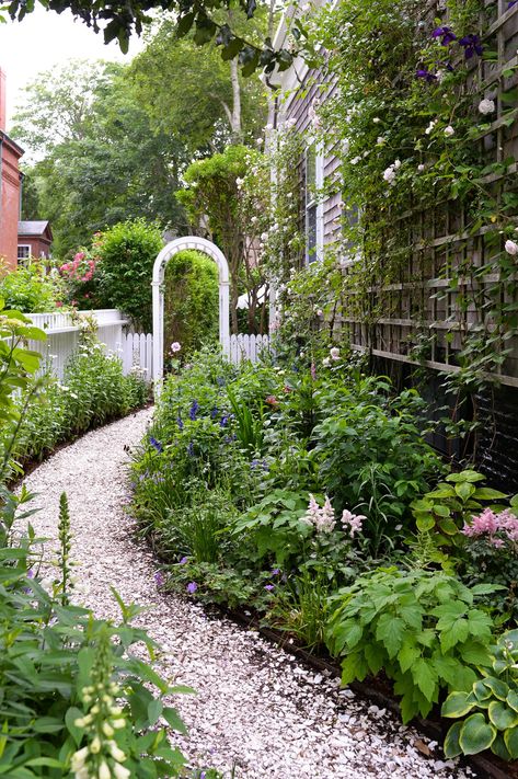 Nantucket Town - STACIE FLINNER East Coast Landscaping, Cape Cod Garden, Nantucket Gardens, Cape Cod Landscaping, Nantucket Hotels, Massachusetts House, Stacie Flinner, Country Colonial, Cape Cod Cottage