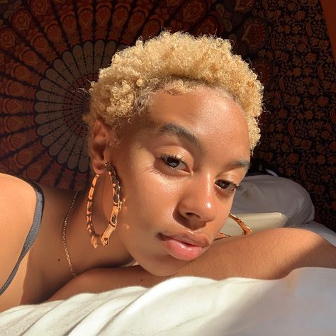 Blonde Twa, Twa Styles, Short Dyed Hair, Blonde Natural Hair, Shaved Hair Cuts, Blonde Natural, Afro Style, Coloured Hair, Pretty Hair Color