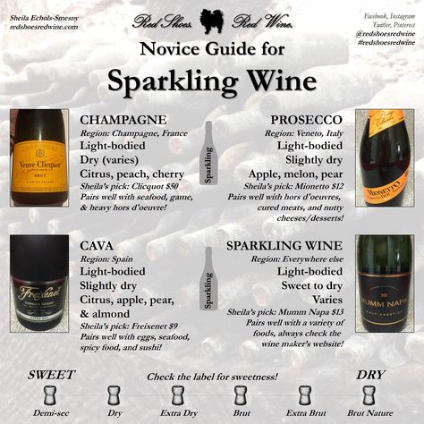 A Champagne by Any Other Name… – Red Shoes. Red Wine. New blog post! Prosecco cava brut sparkling wine pairing Wine Chart, Wine Facts, Wine Knowledge, Wine Subscription, Wine Education, Wine Tasting Party, Wine Guide, Wine Connoisseur, Wine Food Pairing