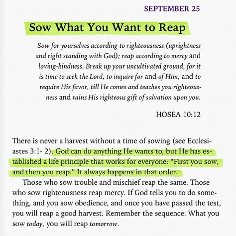 What you sow today, you will reap tomorrow. You Reap What You Sow Bible Verse, Reap What You Sow Quotes Bible, You Reap What You Sow, You Reap What You Sow Quotes, Reap What You Sow Quotes, God 1st, Christian Motivational Quotes, Scripture For Today, Reap What You Sow