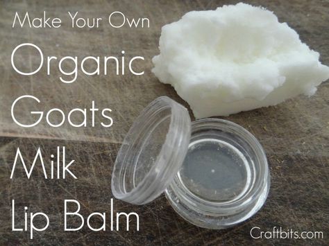 This recipe shows you how to make your own lip balm with simple ingredients including powdered goat’s milk. You can also substitute the goat’s milk for other powdered milk if you like. Milk Uses, Milk Lip Balm, Goat Milk Soap Recipe, Milk Soap Recipe, Lip Balm Recipe, Goat Milk Recipes, Goat Recipes, Balm Recipe, Goats Milk Lotion