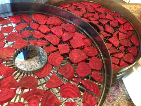 How to Make Beet Powder - Preserving My Sanity Dehydrating Beets, Kitchen Ants, Dehydrating Recipes, How To Make Beets, Dehydrating Food Storage, Beet Powder, Drying Flowers, Cuisinart Food Processor, Food Dehydrator