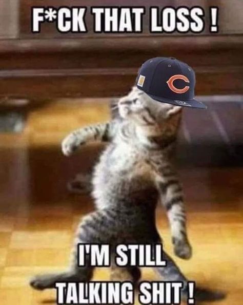 Chicago Bears Memes, Chicago Bears Funny, Lion Memes, Detroit Lions Wallpaper, Chicago Bears Wallpaper, Chicago Bears Pictures, Bear Meme, Funny Nfl, Chicago Sports Teams