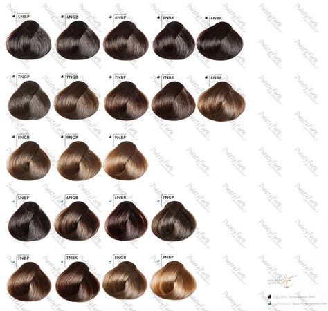 Goldwell Color Chart, Schwarzkopf Hair Colour, Goldwell Colorance, Hair Color Swatches, Schwarzkopf Hair Color, Brown Hair Inspiration, Schwarzkopf Color, Color Formulas, Ash Brown Hair