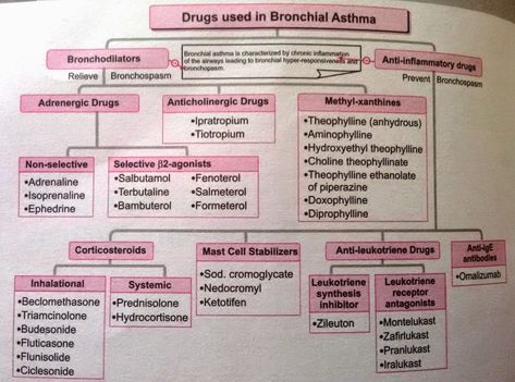 Bronchial Asthma Notes, Asthma Pathophysiology, Asthma Nursing, Respiratory Therapy Notes, Respiratory Medications, Pharmacology Notes, Pharmacology Flash Cards, Nose Problems, Nursing Management