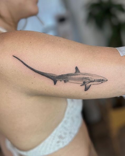 small shark tattoos • Instagram Shark Tattoo Designs Men, Shark Tattoo Leg Men, Aesthetic Shark Tattoo, Galapagos Shark Tattoo, Thrasher Shark Tattoo, Fineline Shark Tattoo, Dainty Shark Tattoo, Shark Tattoo Men, Thresher Shark Tattoo