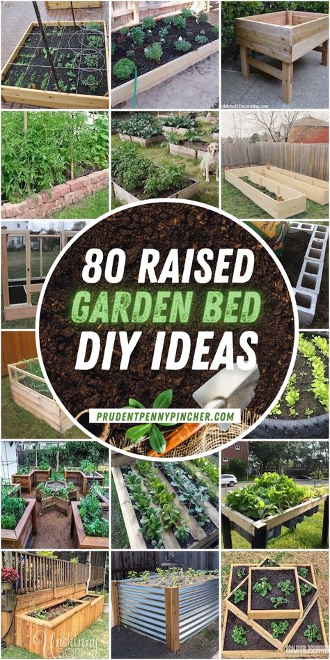 Diy Raised Garden Beds, Cheap Raised Garden Beds, Garden Bed Layout, Raised Garden Bed Plans, Cedar Raised Garden Beds, Elevated Gardening, Garden Boxes Raised, Vegetable Garden Raised Beds, Diy Raised Garden