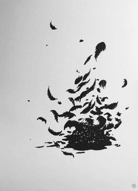 Falling Feathers Drawing, Feather Silhouette, Crow Or Raven, Raven Feathers, Feather Sketch, Crow Flying, Crow Feather, Raven Feather, Feather Drawing