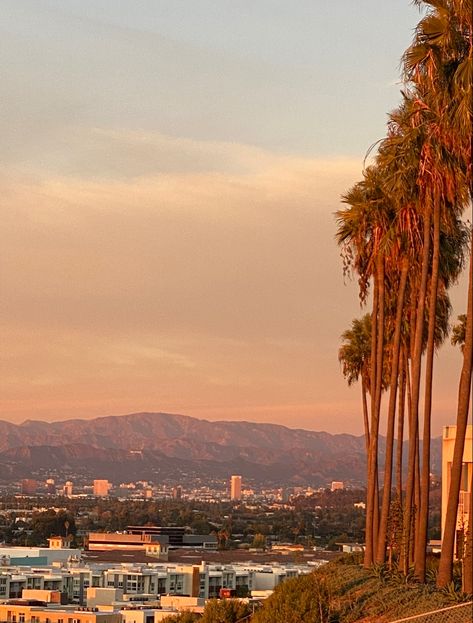 LMU bluff + the Hollywood sign Lmu University, Loyola Marymount University, La Life, College Senior, Dream College, Hollywood Sign, College Campus, 2024 Vision, Dream Board