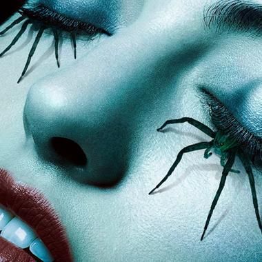 Hot: American Horror Story 6 poster: If you weren't afraid of spiders before you will be now American Horror Stories, Spider Queen, American Horror Story Seasons, Horror Vintage, Spider Art, Horror Story, Halloween Horror, Homestuck, Coven