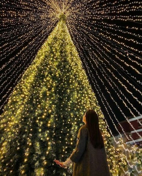 https://www.instagram.com/p/CIgom6qnz8h/?igshid=YmMyMTA2M2Y= Christmas Lights Poses Photo Ideas, Christmas Photo Ideas Instagram, Christmas Lights Photoshoot, Christmas Tree Photoshoot, Christmas Light Photography, Christmas Instagram Pictures, Christmas Poses, Christmas Lights Outside, Light Shoot