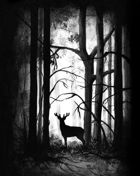 nighttime animal charcoal drawing Forest Sketch, Landscape Pencil Drawings, Wolf Tattoo Sleeve, Landscape Tattoo, Nature Art Drawings, Nature Sketch, Stag Deer, Pencil Sketch Images, Surreal Artwork