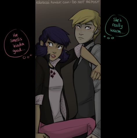 ~no hawk moth~ ~tikki and plagg are not important in this story so th… #romance #Romance #amreading #books #wattpad Felinette Comics, Felix Miraculous, Ladybug Pv, Tikki And Plagg, Ladybugs Movie, Miraculous Ladybug Oc, Miraculous Ladybug Memes, Ladybug Anime, Marinette And Adrien