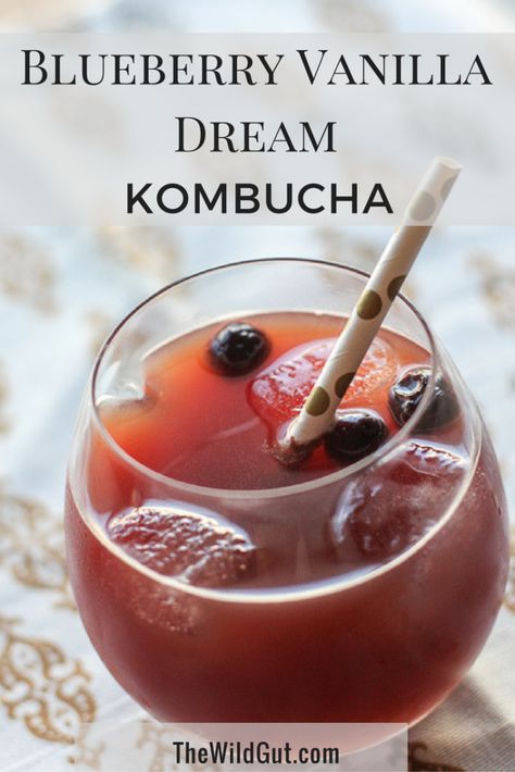 Blueberry Vanilla Dream Kombucha - The Wild Gut Kombucha Flavors Recipes, Kombucha Brewing, Amazing Smoothie Recipes, Kombucha Recipes, Kombucha Flavors, Kombucha Scoby, Fermented Drinks, How To Brew Kombucha, Homemade Kombucha