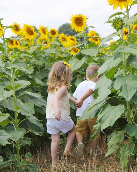 Fall Pictures Nature, Summer With Kids, Sunflower Field Photography, Sunflower Field Pictures, Sunflower Photoshoot, Sunflower Family, Sunflower Photography, Sibling Love, Sunflower Photo