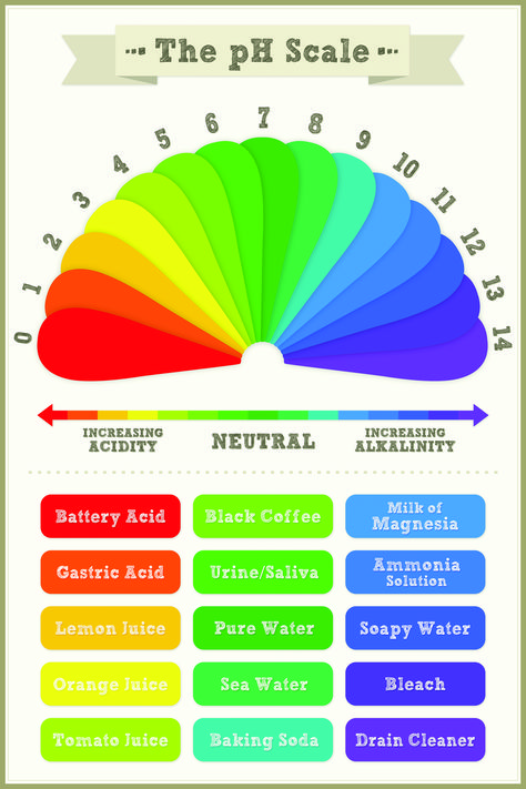 #ChemicalPeels #Facial #Peels #MedSpa newlaserimage.com #RedondoBeach #SkinCare Ph Scale Aesthetic, Face Procedures, Baking Soda Drain Cleaner, Information Overload, Healing Therapy, Chemical Peel, Nose Job, Med Spa, Cosmetic Surgery