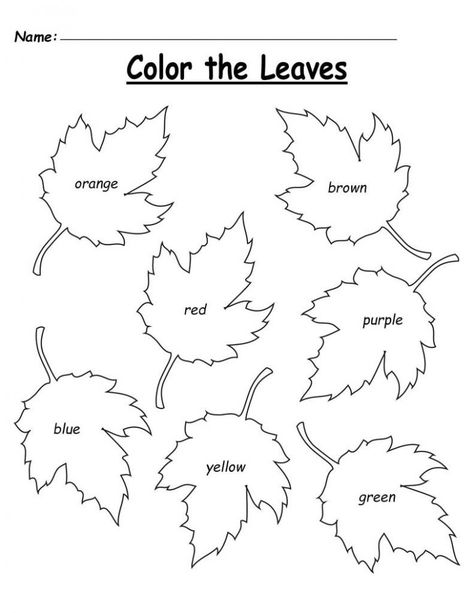 Leaf Worksheet, Fall Coloring Sheets, Fall Worksheets, Coloring Worksheet, Autumn Leaf Color, Homeschool Preschool Activities, Fall Preschool Activities, Fall Coloring, Color Leaves