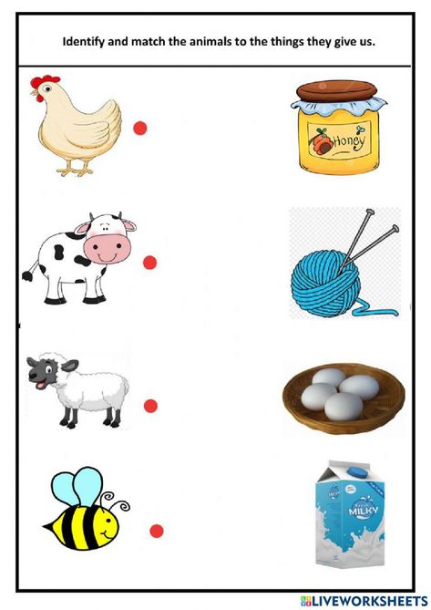 Animals For Kids Teaching, Animals And Their Homes Worksheets, Animal Preschool Activities, Science Kindergarten Worksheets, Blank Bar Graph, Science Kindergarten, Bar Graph Template, Animals Worksheet, Animals And Their Homes