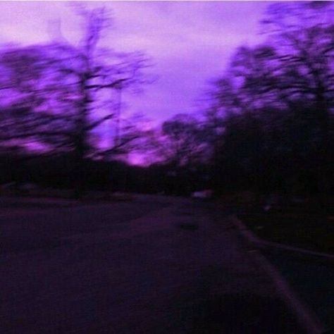 Purple Sky, The Kids, The Sky, Trees, Purple