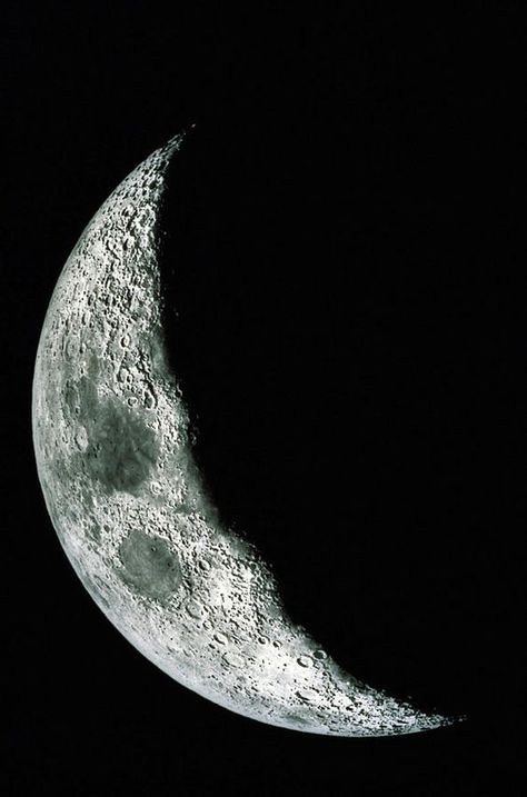 Quarter moon Moon Beauty, Quarter Moon, Nasa Mars, Shoot The Moon, Luna Moon, Planets Wallpaper, Moon Pictures, Space Planets, Good Night Moon