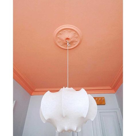 Best Ceiling Paint, Ceiling Paint Colors, Pink Ceiling, Red Ceiling, Hallway Ceiling, Yellow Ceiling, Ceiling Paint, Color Melon, Dark Ceiling