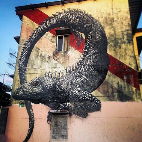 Wall mural in Lodz, Poland  ROA  Panama Urbane Kunst, Best Graffiti, Sidewalk Art, Graffiti Artwork, Best Street Art, Urban Street Art, Amazing Street Art, 3d Street Art, Murals Street Art