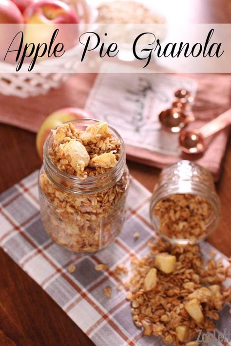 Apple Granola Recipe, Apple Pie Granola, Spiced Apple Pie, Apple Granola, One Dish Kitchen, Parfait Breakfast, Single Serve Desserts, Coconut Pecan, Granola Recipe