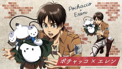 Attack on Titan Wiki on Twitter: "Attack on Titan x Sanrio Collaboration illustration (Eren)… " Aot Anime, Eren X Mikasa, Manga News, Eren Jaeger, Attack On Titan Anime, Sanrio Characters, Digimon, Me Me Me Anime, Anime Memes