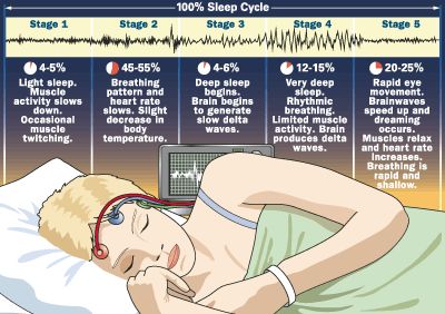 Everyone knows sleep is important but science went ahead and proved it anyway. Here's a bunch of cool info on sleep! ( I <3 sleep! ) Info Board, Wake Up In The Morning, E Mc2, Sleep Cycle, It Goes On, Fall Asleep, Cleaning Tips, Zumba, Things To Know