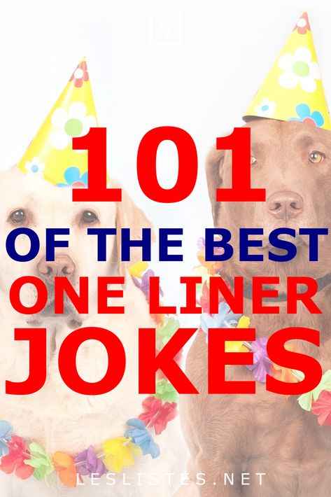 Jokes One Liner, One Liner Jokes Hilarious, Funny One Liners Jokes, Short Jokes Funny Laughing, Joke Captions, Jokes Hilarious Funny Short, Funny Jikes, Best Jokes Ever Hilarious Laughing, Corny Jokes Hilarious Funny