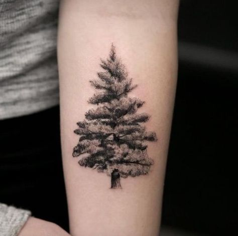 25+ Evergreen Tree Tattoo Designs and Ideas #tree #tattoo #designs Tree Tattoo Hand, Spruce Tree Tattoo, Evergreen Tattoo, Evergreen Tree Tattoo, Tree Tattoo Meaning, Tree Sleeve Tattoo, Winter Tattoo, Tree Tattoo Forearm, Tree Tattoo Arm