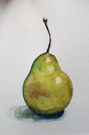 Fruit Art Drawings, Watercolor Pencil Art, Pear Art, Art Tutor, Step By Step Watercolor, Art Major, Watercolor Fruit, Watercolor Painting Techniques, Watercolor Flower Art