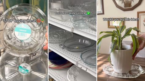 Plant parent shares 'genius' solution to crummy plastic plant saucers: 'Such a fantastic idea' Plant Saucer Ideas, Plant Saucers, Plant Saucer, Plant Parent, Cool Picks, Plant Propagation, Spruce Up Your Home, Indoor Gardening, Circular Economy