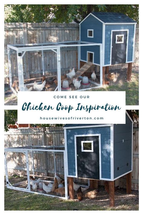 If you have new chicks who need a home, check out our Chicken Coop Inspiration!  It's a great jumping off project for your backyard chicken coop project! Build Your Own Chicken Coop, Backyard Chicken Coop, Plant Help, Backyard Chicken Coops, Backyard Projects, A Chicken, Swing Set, Chickens Backyard, Come And See