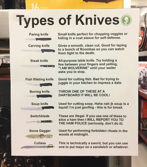 Obvious Plant, Writing Dialogue Prompts, Creative Writing Tips, Types Of Knives, Writing Inspiration Prompts, Forensic Science, Book Writing Inspiration, Writing Characters, Writing Dialogue