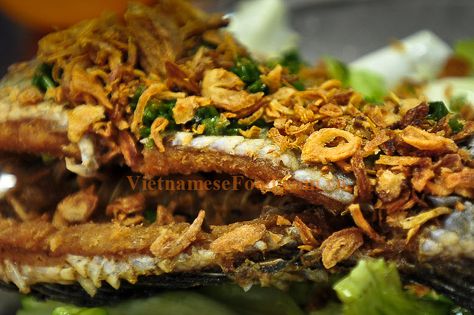 www.vietnamesefood.com.vn/fried-snakehead-fish-recipe-ca-qua-chien-xu Snakehead Fish Recipes, Vietnamese Fish, Snakehead Fish, My Favorite Food, Fish Skin, Fish Recipe, Fish And Meat, Favorite Food, Asian Food