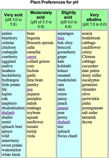 Top Pinned chart. Knowing your plants' preferred pH level matters. Use this chart to answer your questions. Hydroponics Diy, Tower Garden, Survival Gardening, Garden Types, Soil Ph, Veg Garden, Home Vegetable Garden, Hydroponic Gardening, Food Garden