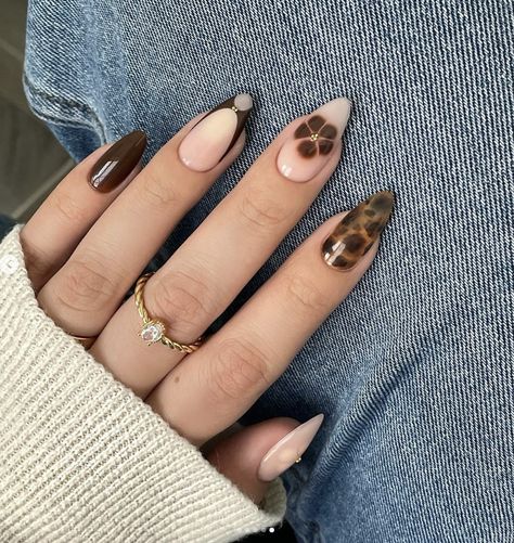 Fall Nail Sets Almond, Nails Acrylic Designs Fall, Coffin Shape Nails Fall, Almond Nails Ideas Simple, Brown Nails French Tip, Coffee Nails Designs, Cheetah Print French Tip Nails, Fall Nails Acrylic Almond, Espresso Nails