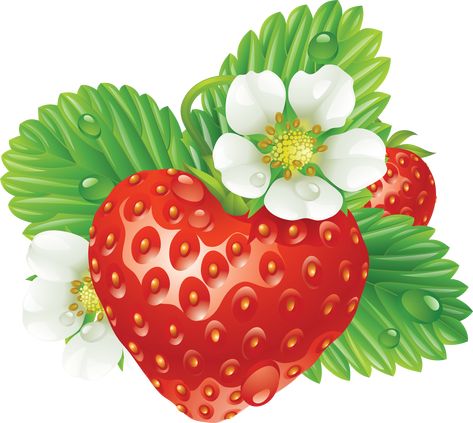 Strawberry Pictures, Strawberry Clipart, Strawberry Png, Strawberry Art, Strawberry Hearts, Strawberry Decorations, Royalty Free Clipart, Drawing Clipart, Heart Drawing