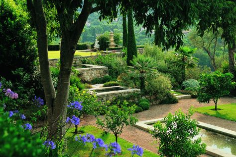 Rees Roberts, Hackberry Tree, Mediterranean Landscape Design, Mediterranean Garden Design, Mediterranean Landscaping, Most Beautiful Gardens, Citrus Trees, Mediterranean Garden, Ponds Backyard