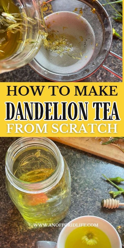 How to Make Dandelion Tea From Scratch What To Make With Dandelions, What To Do With Dandelions, Things To Make With Dandelions, Dandelion Tea Recipe How To Make, Dandelion Recipes Tea, How To Make Dandelion Tea, Dandelion Tincture Recipes, How To Eat Dandelions, Diy Dandelion Tea