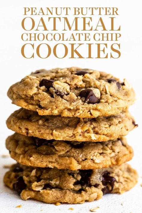 Applesauce Oatmeal, Low Calorie Cookies, Chewy Oatmeal Chocolate Chip Cookies, Peanut Butter Oatmeal Chocolate Chip, Peanut Butter Oatmeal Chocolate Chip Cookies, Oatmeal Chocolate Chip Cookie Recipe, Nutella Brownies, Skinnytaste Recipes, Oatmeal Chocolate Chip