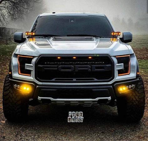 ❤️❤️❤️ Shelby Truck, Truk Ford, Ford Raptor Truck, Mobil Off Road, Raptor Truck, Diesel Trucks Ford, Ford F150 Raptor, Ford Ranger Raptor, Ford Trucks F150