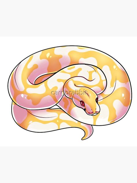 Albino Ball Python, Burmese Python, Procreate Stamps, Ball Python, Animal Patterns, Sketchbook Art, Kids Fun, Lizards, Sketchbook Art Inspiration