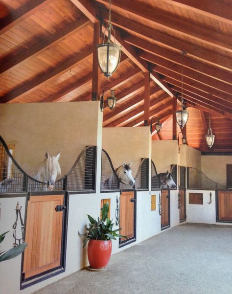 Luxury Horse Barns, Horse Stables Design, Dream Barn Stables, Horse Farm Ideas, Diy Horse Barn, Horse Barn Ideas Stables, Horse Barn Designs, Dream Stables, Dream Horse Barns