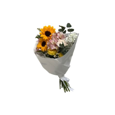 Sunflower Png Aesthetic, Scrapbook Png Aesthetic, Journal Png Aesthetic, Niki Collage, Flower Png Aesthetic, Ios Icons Aesthetic, Daily Life Aesthetic, Ios Png, Render People