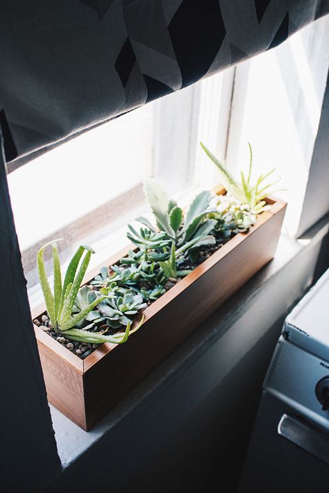 Happy plant gang. Indoor Flower Box, Indoor Window Planter, Window Sill Plants, Window Herb Garden, Windowsill Garden, Window Plants, Kitchen Plants, Window Planters, Trendy Plants