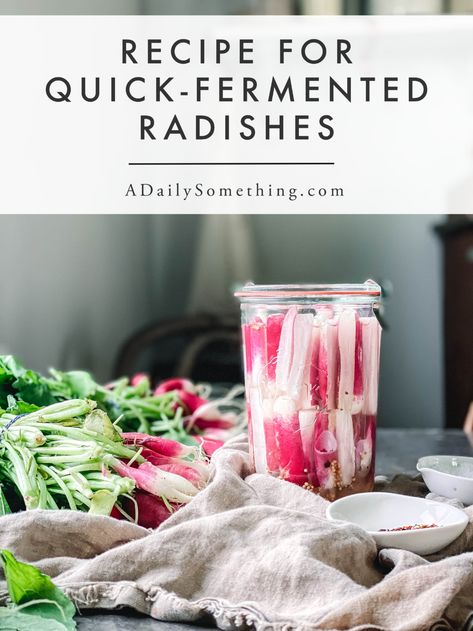 Quick Fermented Radishes - Preserve the season's harvest by fermenting radishes! These lacto-fermented radishes are delicious, and simple to make. The fermented probiotics are great for your gut health! Get the recipe at A Daily Something   #fermentedfoods #fermentedvegetables #fermentedfoodrecipes #fermentation #fermentedradishes #quickfermentedvegetables #quickfermentation #quickfermenting #quickferments #lactofermentation #lactofermentedvegetables #fermented #guthealth #probiotics Fermented Radishes, Pickled Radish Recipe, Garden Canning, Radishes Recipe, Quick Pickled Radishes, Fermented Vegetables Recipes, Pickled Radish, Lime Pickles, Fermented Veggies