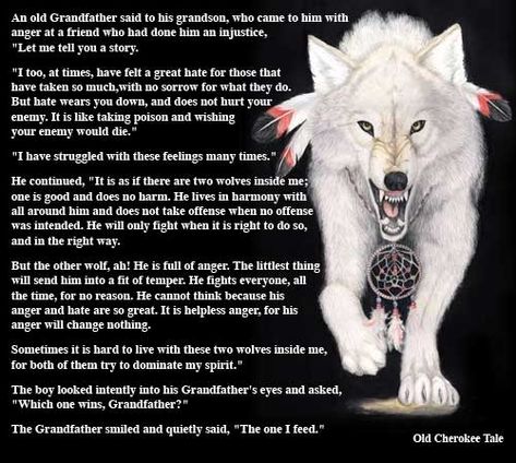 Cherokee Quotes About Good And Evil. QuotesGram Wolf Meaning, Native American Wolf, American Quotes, Native American Wisdom, Two Wolves, Animal Spirit Guides, Native American Quotes, Wolf Quotes, Wolf Spirit Animal