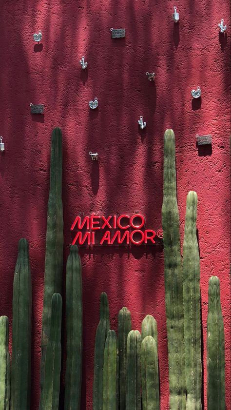 Mexico Instagram Stories, Mexican Photography, Latino Aesthetic, Vision Board Book, Mexico Wallpaper, Mexico Aesthetic, Pictures Of Beautiful Places, Hispanic Aesthetic, Latina Aesthetic